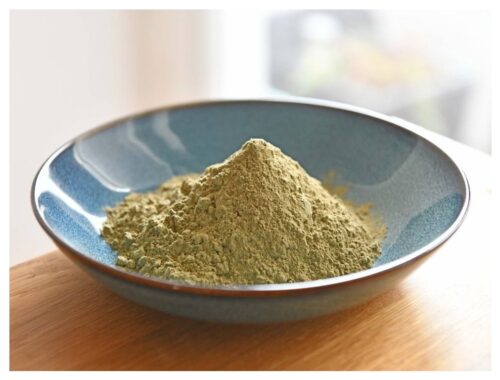 Why White Maeng Da Kratom Is So Popular Among Enthusiasts